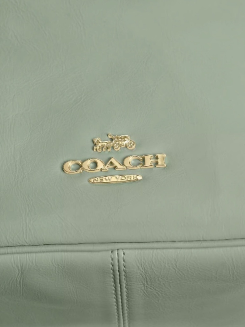 NWT Coach Mini Carey Crossbody Bag Gold/Light Pistachio - Picture 8 of 9